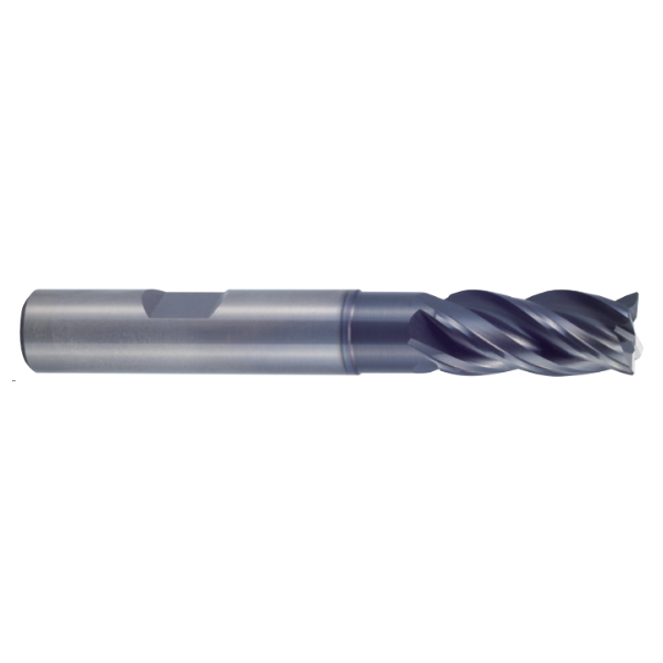 GMF61160