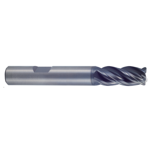 GMF55030